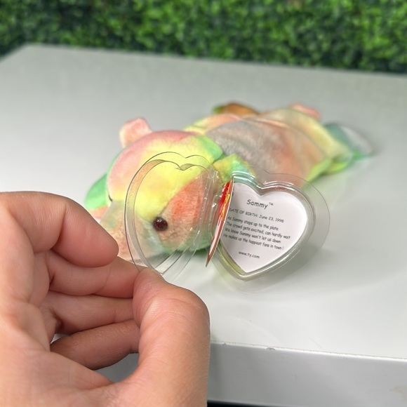 "Sammy" the Bear is a TY Beanie Baby - Picture 10 of 13